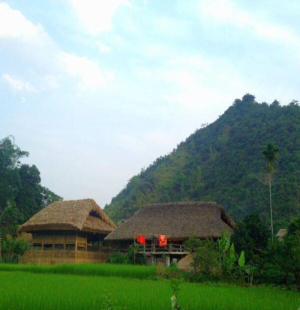 Ha Giang daily trekking tour